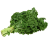 Couve Kale Orgânico (molhe) - Manacá